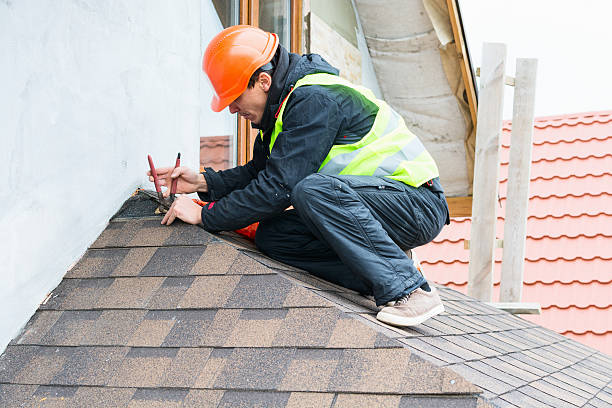 Best Roof Gutter Cleaning  in Pine Beach, NJ